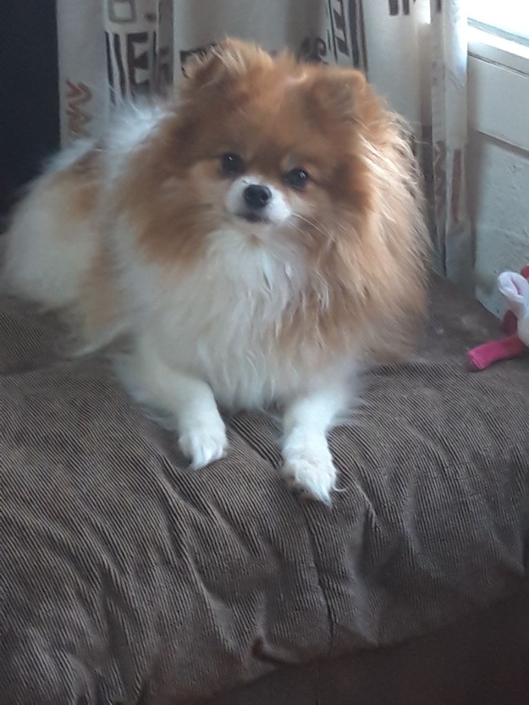 No party without me Des Rêves éternels